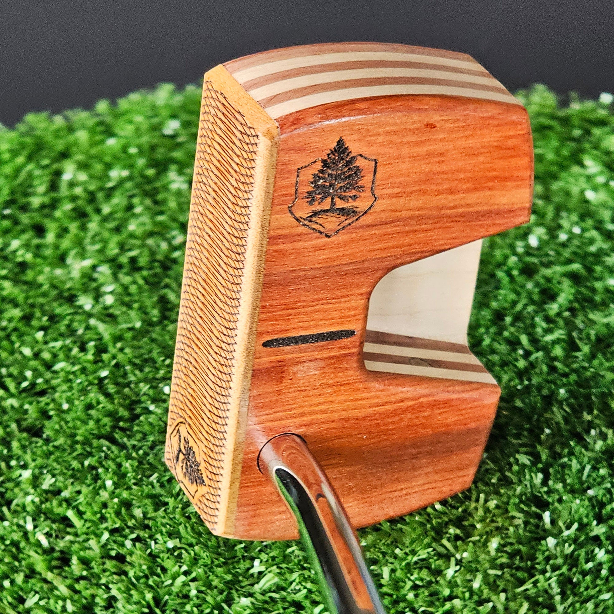 Golfer lining up a putt on the green