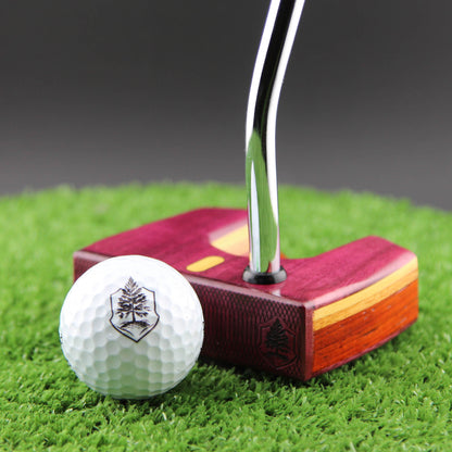 Tyrian style Purpleheart and various exotic woods putter